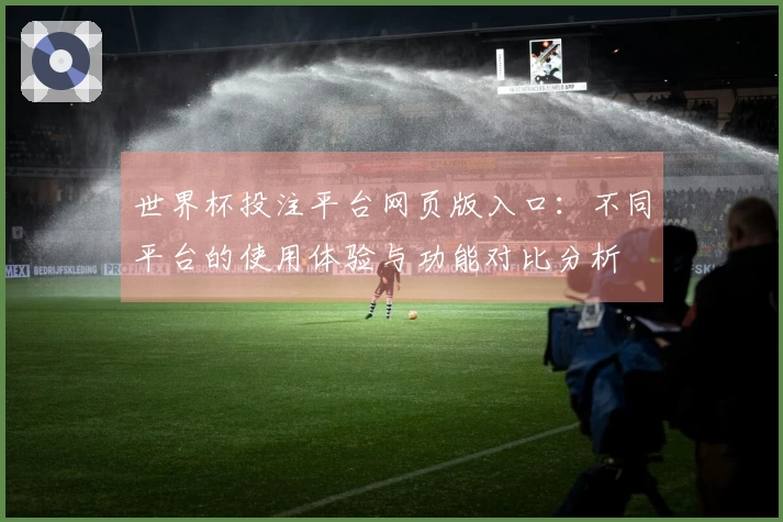世界杯投注平台网页版入口：不同平台的使用体验与功能对比分析