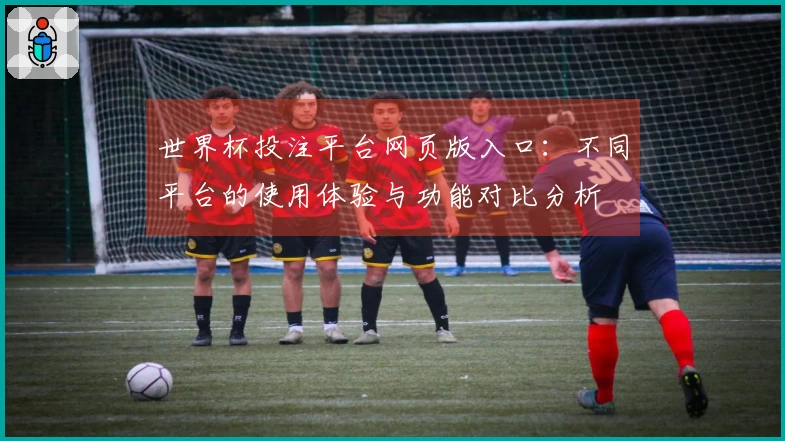 世界杯投注平台网页版入口：不同平台的使用体验与功能对比分析