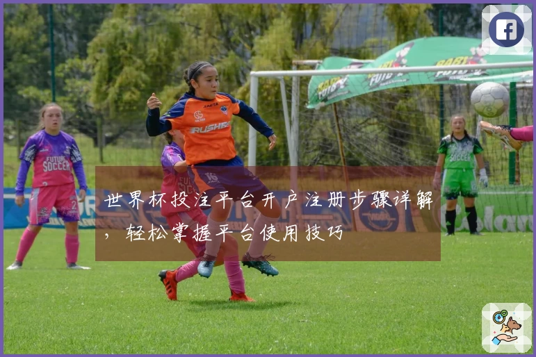 世界杯投注平台开户注册步骤详解，轻松掌握平台使用技巧