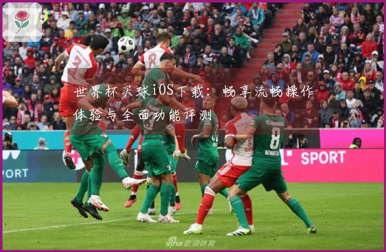 世界杯买球iOS下载：畅享流畅操作体验与全面功能评测