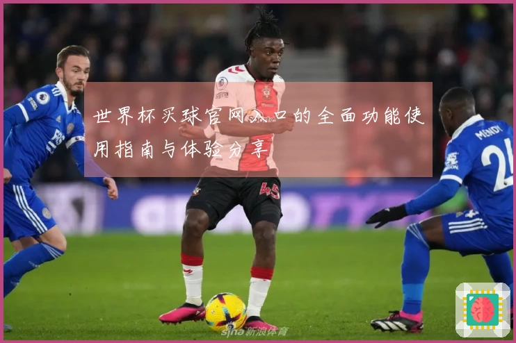 世界杯买球官网入口的全面功能使用指南与体验分享
